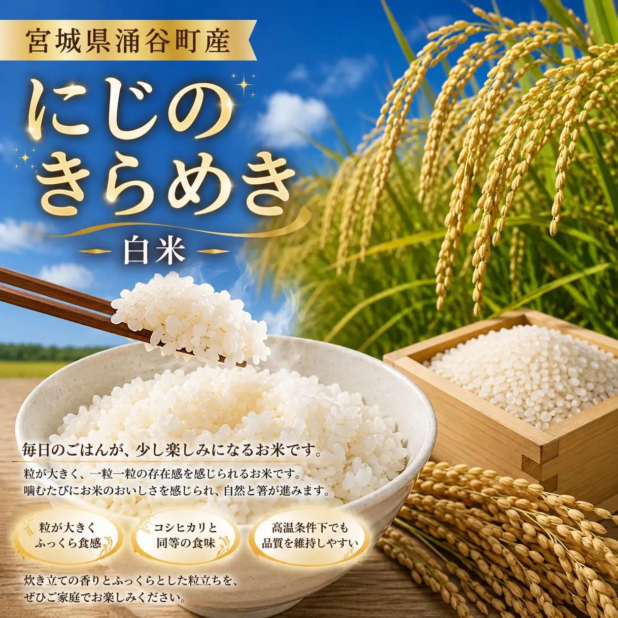 【先行予約】にじのきらめき　白米　10kg 【2027年2月発送】【iriuda025】