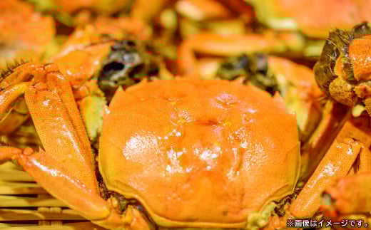 コクがあり、食べたら病みつきになるほどの珍味です