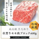 【ふるさと納税】《佐賀牛》梁井 赤身の美味さが際立つモモ肉ブロック 600g【佐賀牛 赤身 もも肉 ローストビーフ ステーキ 煮込み料理 ジューシー やわらか 美味しい ブランド肉】 A5-R081009