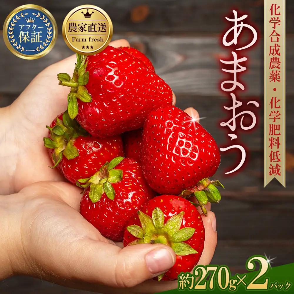 【先行予約／2027年出荷】農家直送！特別栽培 あまおう 約270ｇ前後 × 2パック ふるさと納税 いちご イチゴ 苺 赤村 果物 くだもの フルーツ ジャム にも ケーキ にも 先行予約 数量限定 ふるさと ランキング 人気 おすすめ 福岡 東峰村　3S14