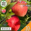 【ふるさと納税】 りんご 葉とらず サンふじ 秀 ～ 特秀 10kg フレッシュフルーツミカズキ 令和6年度収穫分 長野県 飯綱町 〔 信州 果物 フルーツ リンゴ 林檎 長野 予約 農家直送 〕発送時期：2024年11月中旬～2025年1月下旬 {***}