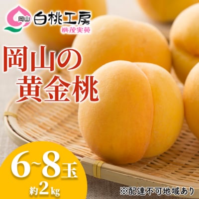 桃 黄金桃 2kg 6～8玉 もも フルーツ 果物 岡山 2024年[NO5765-0536]