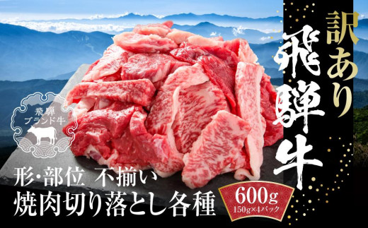 訳あり 飛騨牛 焼肉 切落とし 600g（150g×4パック） 冷凍真空パック | 肉 お肉 焼肉 焼き肉 やきにく 黒毛和牛 和牛 個包装 小分け 人気 おすすめ 牛肉 ギフト お取り寄せ【飛騨高山