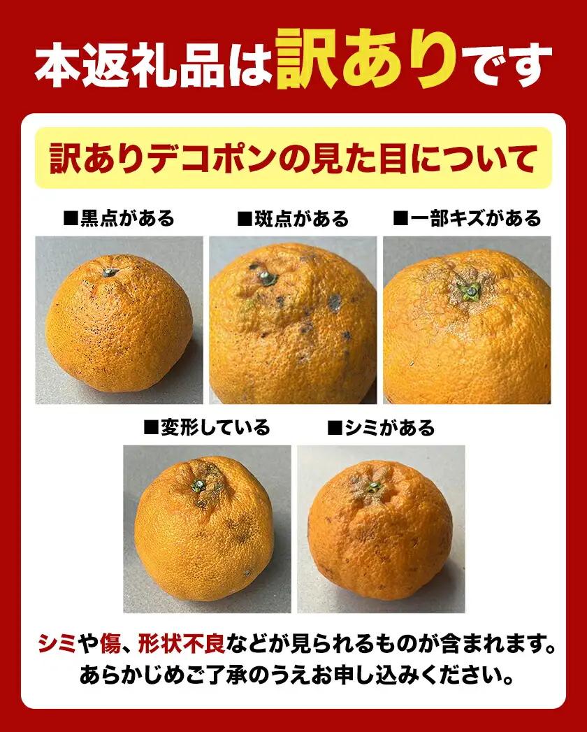 デコポン 先行予約 訳あり 5kg デコポン