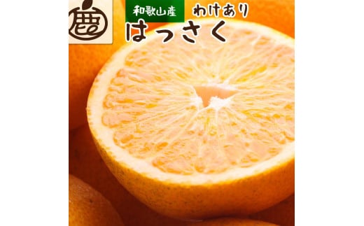 
            ［先行予約］家庭用 はっさく10kg+250g（傷み補償分）［八朔みかん］［訳あり・わけあり］
          
