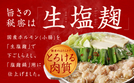 【定期便】牛もつ鍋セット 9人前 全6回【毎月配送コース 国産 牛肉 ホルモン 塩こうじ スープ付き モツ 鍋 高評価 冷凍 鍋セット 簡単調理】 099Z421