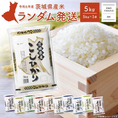 ふるさと納税 境町 【新米先行受付!!】 令和7年産  ランダム 白米 5kg 〈令和7年9月内発送〉