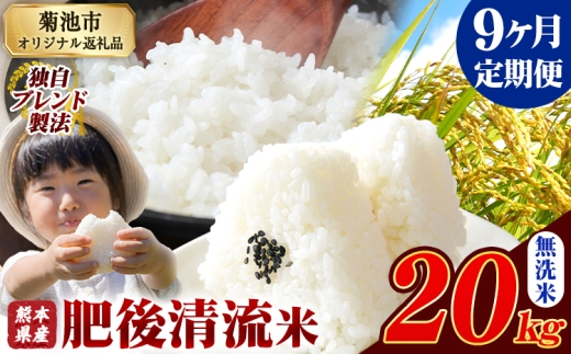 【9ヶ月定期便】熊本県産 肥後清流米 無洗米 20kg 熊本県産 ふるさと納税 精米 米 こめ ふるさとのうぜい コメ お米 おこめ《お申込み翌月から出荷》