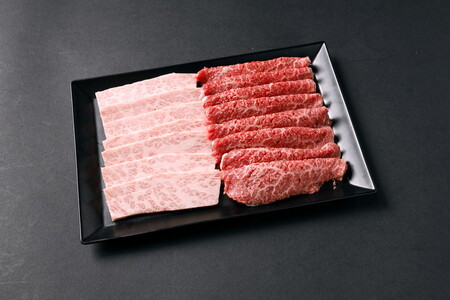 【定期便3ヵ月】A5等級 那須黒毛和牛 お手軽定期便 ｜ すき焼き しゃぶしゃぶ 焼肉用 霜降り上カルビ もも肩肉 ステーキ 小分けお肉少量 食べ切り 肉 国産 定期 高級 冷凍 那須 栃木県 那須町