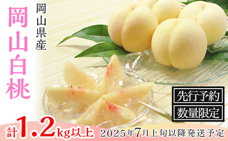 74-03 白桃5～6玉（1.2kg以上）【2025年7月上旬～8月上旬頃発送予定】