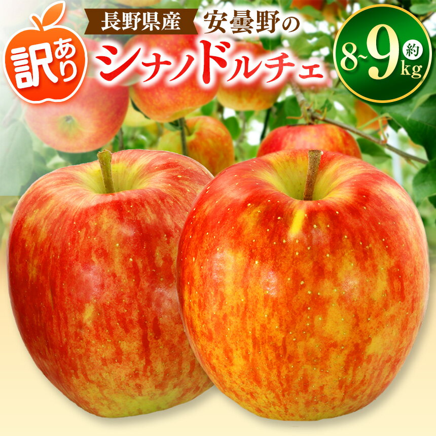 【ふるさと納税】*訳あり シナノドルチェ 約8～9kg 【2025年先行予約】｜ 東印平林農園 リンゴ りんご 林檎 果物 フルーツ 果実 果汁 シナノドルチェ しなのドルチェ 家庭用 わけあり 訳アリ 長野県 松川村