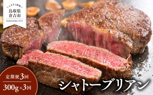 【定期便3回】 シャトーブリアン 300g × 3回 鳥取和牛 ブランド牛 国産 牛肉 和牛 黒毛和牛 ヒレ ステーキ 定期便 鳥取県 倉吉市