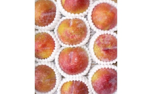 08-08-038　すもも（秋姫）2kg