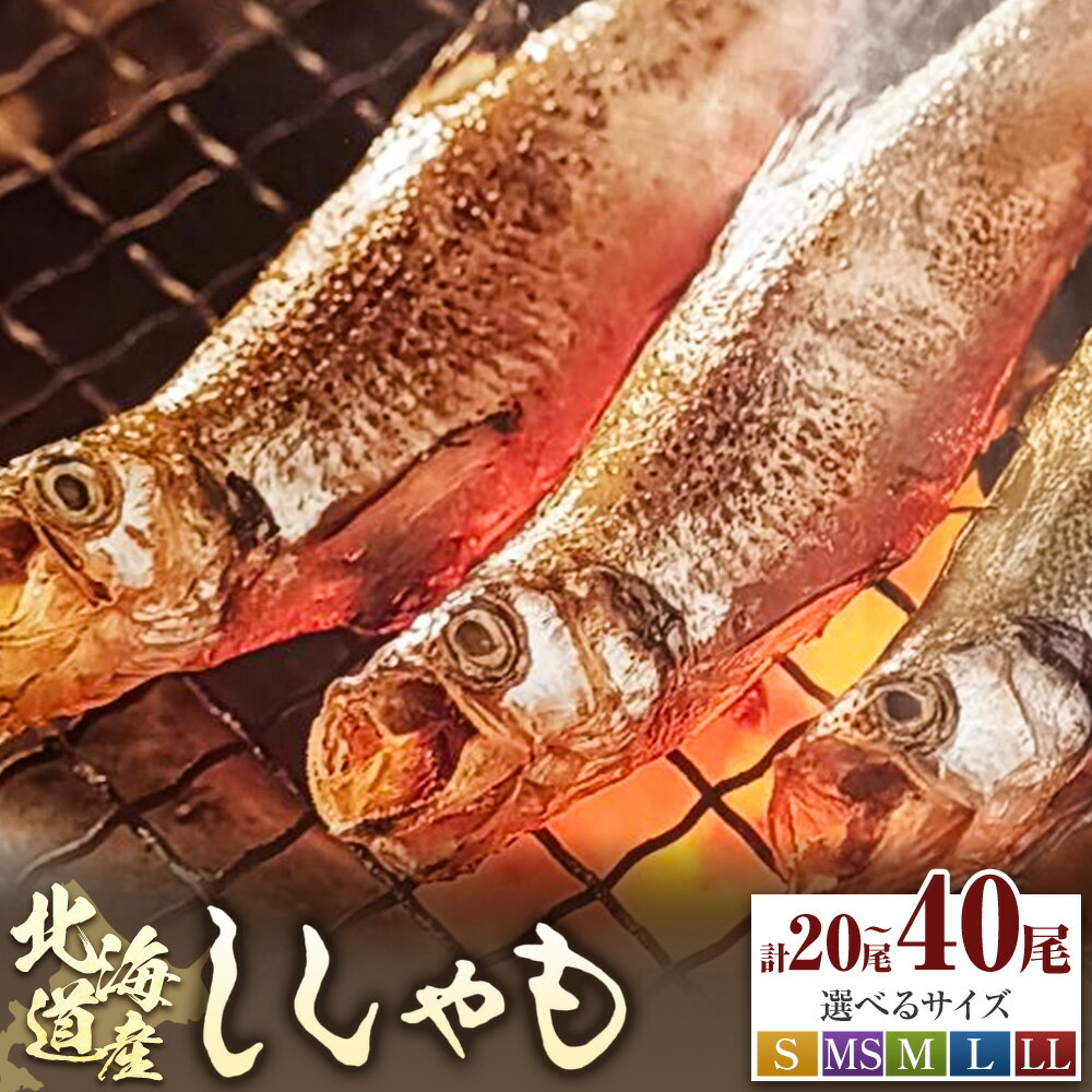 【ふるさと納税】北海道産 ししゃも 10尾～40尾 阿部水産 選べる 本ししゃも 国産 柳葉魚 魚 シシャモ 魚介 海鮮 魚介類 干物 海の幸 贅沢 絶品 濃厚 お取り寄せ グルメ おつまみ 酒の肴 朝食 おかず 産地直送 日高町 送料無料 《14日以内に出荷》 ギフト 贈り物