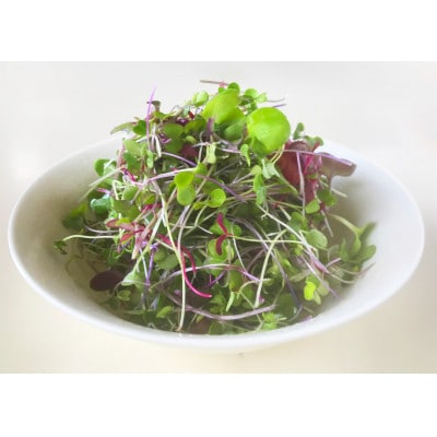 マイクログリーンズ(サラダミックス:6〜8種の野菜200g詰め)【配送不可地域：離島】【1640643】