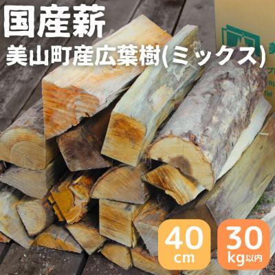 ふるさと納税 南丹市 南丹市美山町産 広葉樹ミックス 乾燥薪 約27〜30kg 40cm