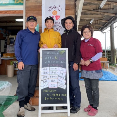 【数量限定!】桧山果樹園の茨城県ブランド梨　特選恵水3kg【配送不可地域：離島・沖縄県】