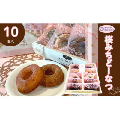 【ふるさと納税】桜みちどーなつ　10個入り【1287475】