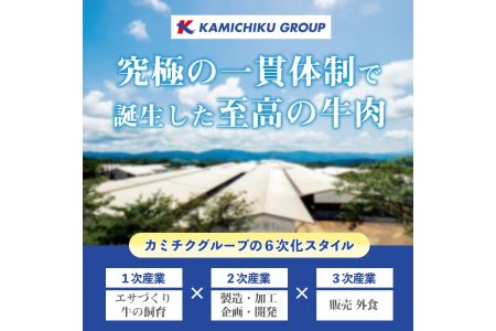 数量限定 鹿児島県産 黒毛和牛 焼肉 セット 合計400g ハラミ サガリ 牛肉 カミチク No.831 