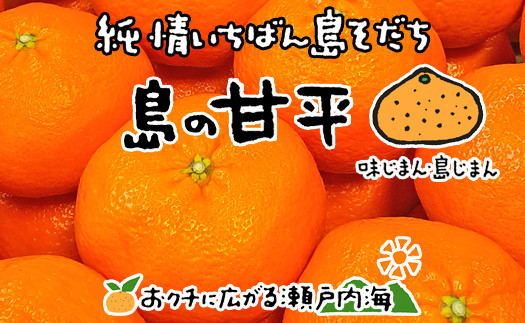 
                  【2027年2月中旬頃から順次発送】ジャンボ 甘平 特大（6L以上） 約1kg（2玉） 化粧箱入 | 愛媛県産 柑橘 みかん かんぺい 甘平 カンペイ フルーツ 果物 くだもの 愛媛県 松山市 中島産
                