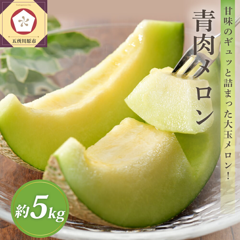 【ふるさと納税】【2025年先行予約】 8月 津軽産 メロン 青肉 約5kg（3～6玉） 家庭用 【発送時期が選べる】 ふるさと納税 メロン 五所川原 めろん 予約 2025 5キロ フルーツ 果物 旬 くだもの 青森 常温 人気 ご当地 特産 季節 東北 高評価 ランキング 送料無料 ふるさと 夏