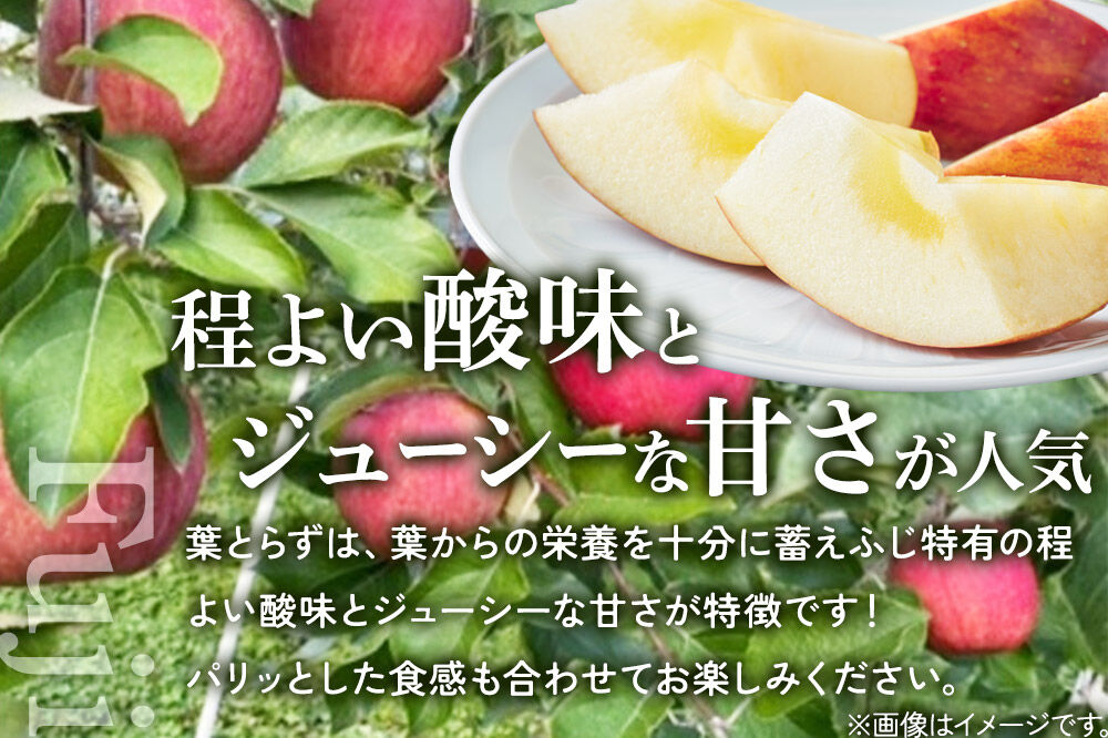 【26年11月下旬〜発送】りんご 葉とらず ふじ【上級品】約5kg 先行受付 青森県 弘前市 果物 フルーツ 林檎 リンゴ くだもの ギフト 贈り物 贈答 [先行予約 産地直送 アップル おいしい 果