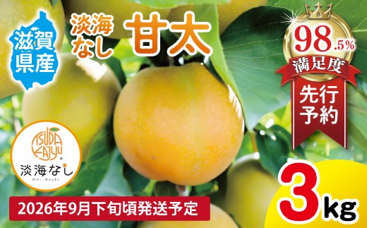 
                  【先行予約】【数量限定】淡海なし　甘太　3kg箱入り（サイズ：2L～7L　5～10個入り）【K131W】 梨 ナシ こだわりの梨 フルーツ 果物 旬の梨
                