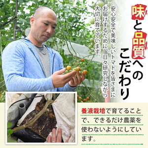 カラフルトマト食べ比べセット(約1kg)  国産 宮崎県産 とまと 野菜 サラダ 黄色 オレンジ みどり 紫 アイコ 赤 セレブスイート 【KT-9】【K.Tfarm】