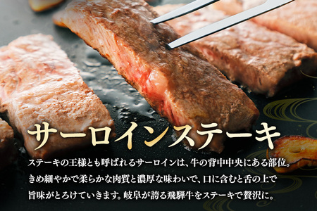 B-3　飛騨牛A5～4等級　サーロインステーキ　２枚（３６０ｇ）