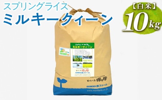 スプリングライス ミルキークィーン (白米)10kg ※着日指定不可 | 米 こめ コメ 10キロ 精米 白米 ミルキークイーン みるきーくいーん 古河市産 茨城県産 取り寄せ お取り寄せ ギフト 贈答 贈り物 プレゼント お中元 お歳暮 茨城県 古河市 直送 農家直送 産地直送 送料無料 _BI23