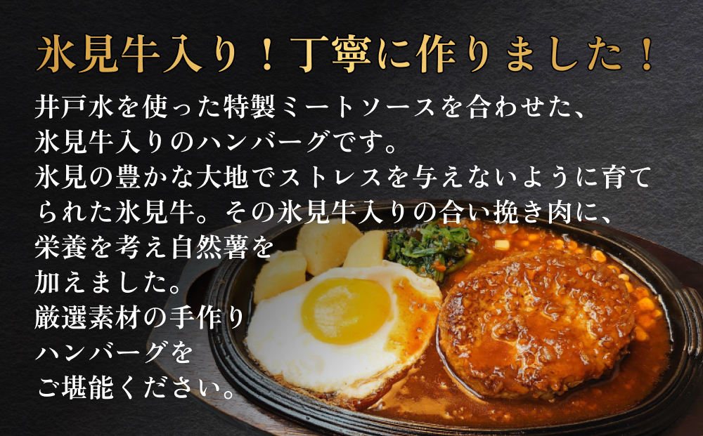 ひみハンバーグ 10個 ソース付き | ミートソース 氷見牛 ブランド牛 国産 柔らか ハンバーグ 湯煎 冷凍 おかず 惣菜 温めるだけ 簡単調理 お取り寄せ 小分け 10個 富山 氷見