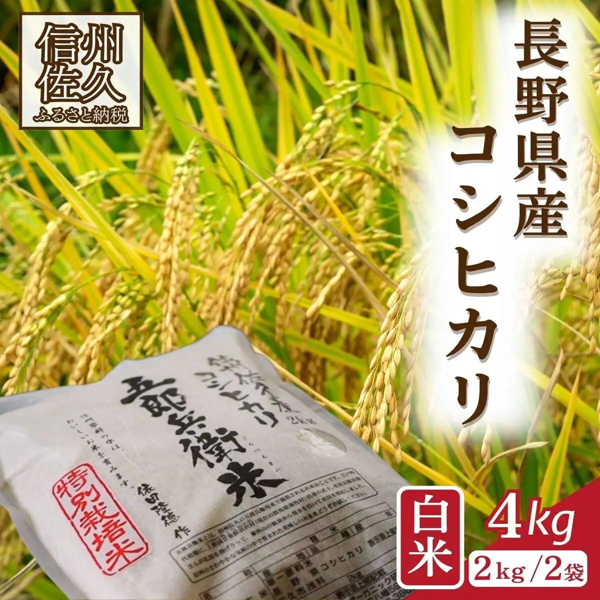 【令和8年産・白米4kg（2㎏×2袋）】 特別栽培米　五郎兵衛米 〈2026年9月下旬頃～順次発送〉 先行予約　新米　信州　こしひかり