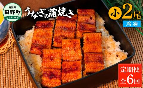 田野町産うなぎの蒲焼き(小) 2尾×6回 定期便 6ヶ月 定期コース 1尾あたり90～120g タレ・山椒付き