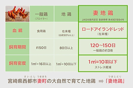 妻地鶏めしの素詰合せ45＜1.5-30＞