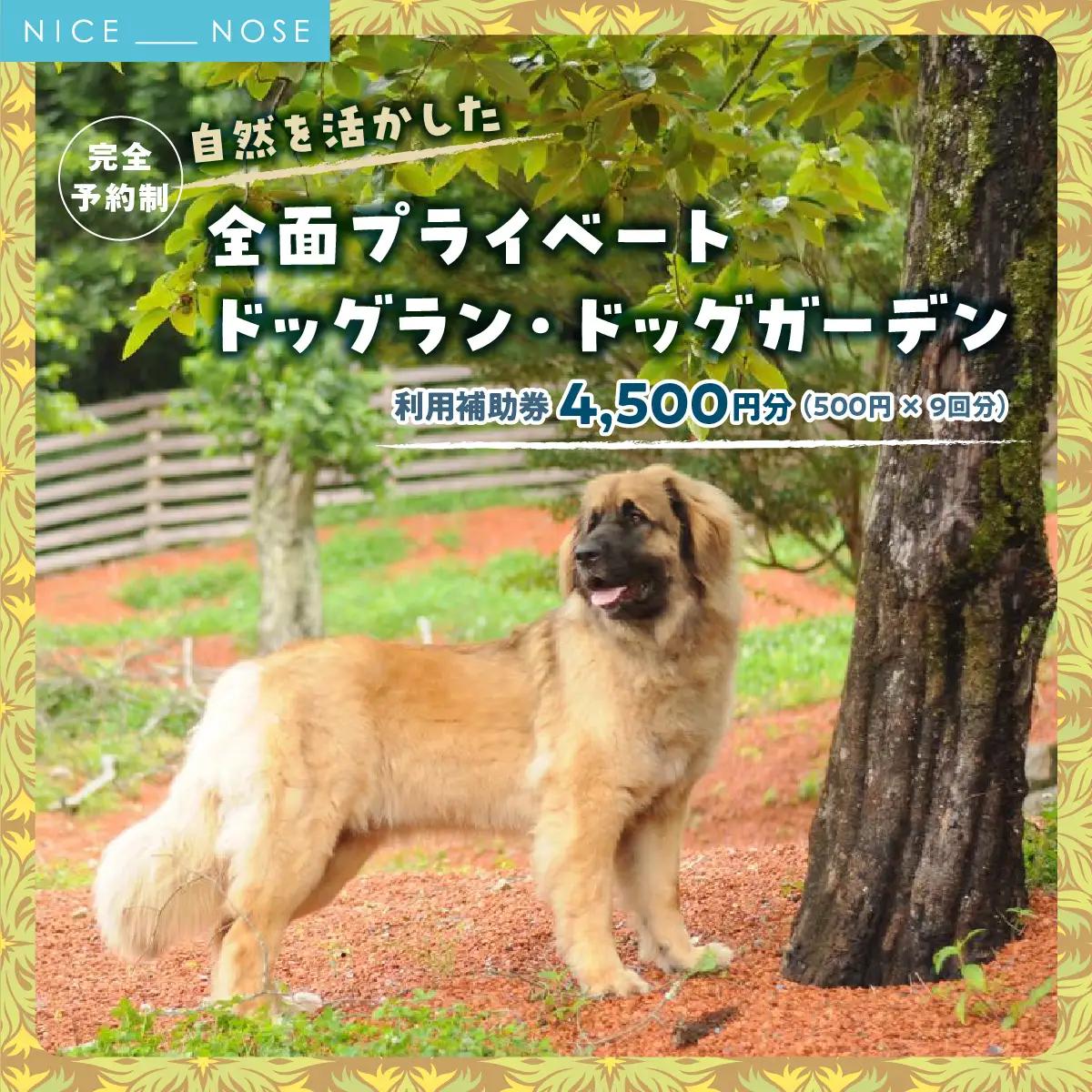 【完全予約制】自然を活かした全面プライベートドッグラン・ドッグガーデン 利用補助券 4,500円分 (500円 × 9回分) | Bless Dog Oasis | ドッグラン ドッグガーデン わんちゃん 犬 ペット チケット 券 貸切 プライベート 広い 体験 レジャー 自然 運動 アウトドア【1273637】