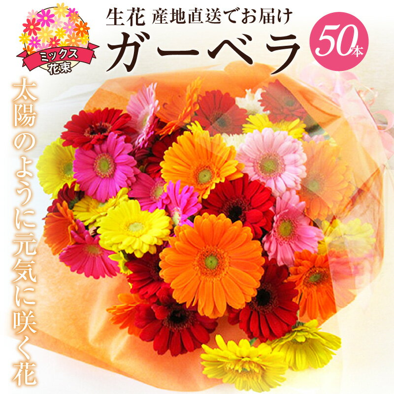 【ふるさと納税】【ラッピング付】 生花 ガーベラ ミックス 花束 50本 高さ 約55cm 幅 約40cm 日付指定可能 ギフト プレゼント ラッピング 誕生日 記念日 結婚記念日 出産祝い 産地直送 インテリア お花 お取り寄せ 碧南市 送料無料