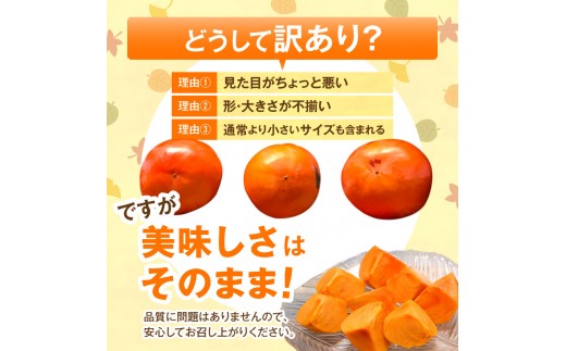 【先行受付】 訳あり 富有柿 5kg こねり柿園自慢の富有柿 KNR0808