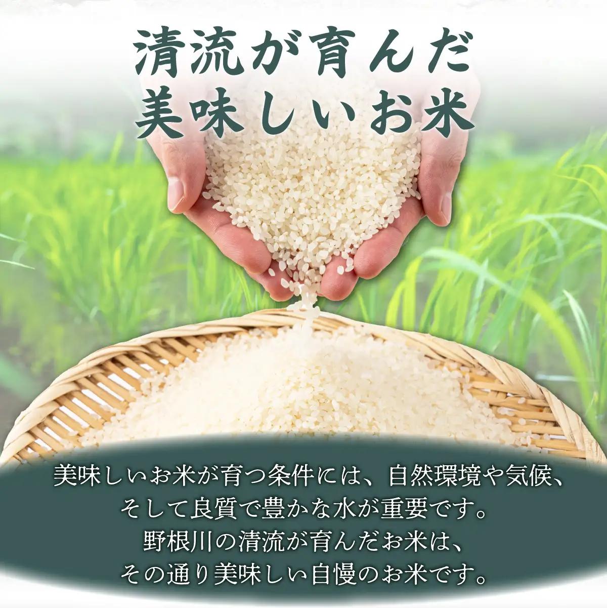 【先行予約】 ＜定期便全4回＞令和8年産 野根川米20kg（20kg×1袋） こしひかり