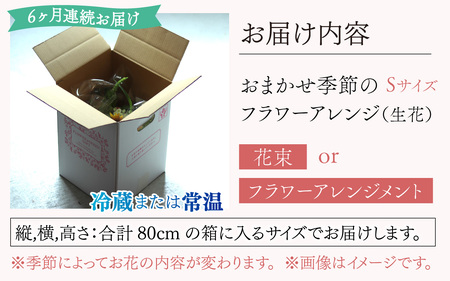 【定期便６回】おまかせ季節のフラワーアレンジ（生花）Ｓサイズ ×６ヶ月【母の日申込期日：4/26（日）まで】【母の日発送予定日：～5/11（月）まで】お好み、着日指定可能　[F-036001]