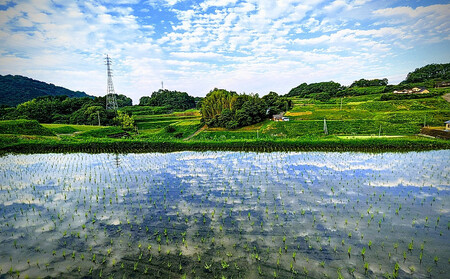 なつほのか 10kg （精米）【先行予約／数量限定】