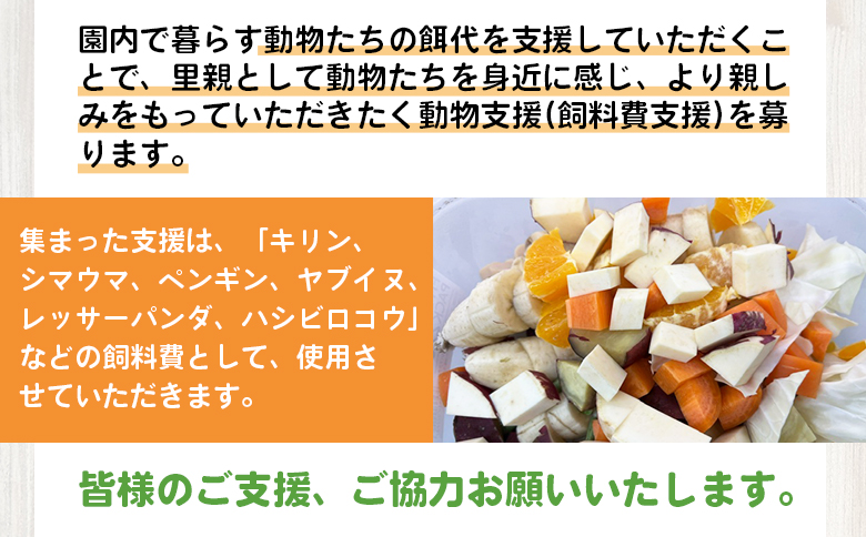 【返礼品なし】高知県立のいち動物公園 動物支援(飼料費支援) 100,000円 ni-0010