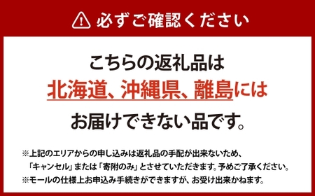 【 先行予約 】 訳あり 木熟ぶどう ハレノシャイン シャインマスカット 2房 約1.2kg マスカット ぶどう ブドウ 葡萄 果物 くだもの フルーツ 【2026年10月上旬～11月上旬発送予定】