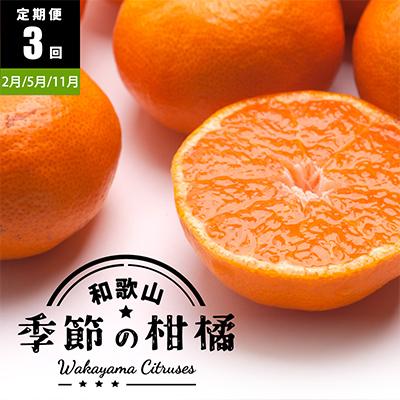 ふるさと納税 美浜町 【発送月固定定期便】季節の柑橘定期便A【フルーツ定期便】【和歌山県有田】全3回