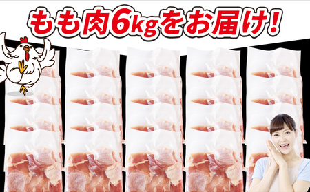 ＜宮崎県産若鶏切 もも肉 6kg（300g×20袋）＞ 翌月末迄に順次出荷 【 からあげ 唐揚げ カレー シチュー BBQ 煮物 チキン南蛮 小分け おかず おつまみ お弁当 惣菜 時短 炒め物 簡単