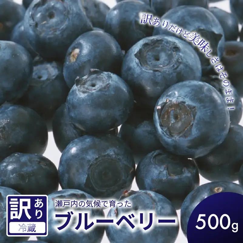 訳あり ブルーベリー 500g 【2026年8月下旬頃から順次発送】 | ブルーベリー ベリー フルーツ 果物 くだもの 冷蔵 期間限定 愛媛県 松山市 ベジろう 送料無料 【VEG115】