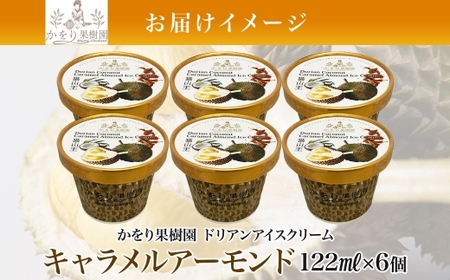 ドリアン ココナッツ キャラメルアーモンド アイスクリーム 122ml 6個 濃厚 ココナッツミルク スイーツ お菓子 ソフトクリーム おやつ デザート ご当地アイスセット 詰め合わせ お取り寄せ ギ