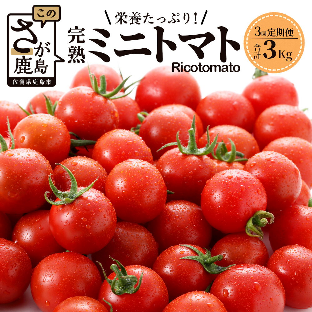 【ふるさと納税】 【先行予約】 【3回定期便】【2026年1月から出荷】 完熟 ミニトマト Ricotomato 1kg 月1回 年3回発送 合計3kg 野菜 とまと トマト 佐賀産 佐賀県 鹿島市 送料無料 E-68