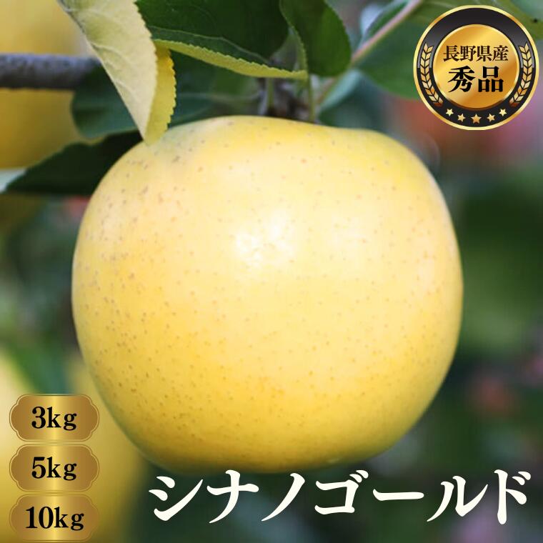【ふるさと納税】 ＊2026年度発送＊ りんご シナノゴールド（長野県産 秀品）約3kg・5kg・10kg／10月下旬～11月下旬頃 配送予定 // 長野県 南信州 シナノゴールド りんご 果物 フルーツ MS11 MS12 MS13