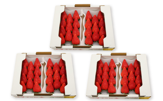 きらぴ香セット(6パック)【配送不可地域：離島・北海道・沖縄県・四国・九州】