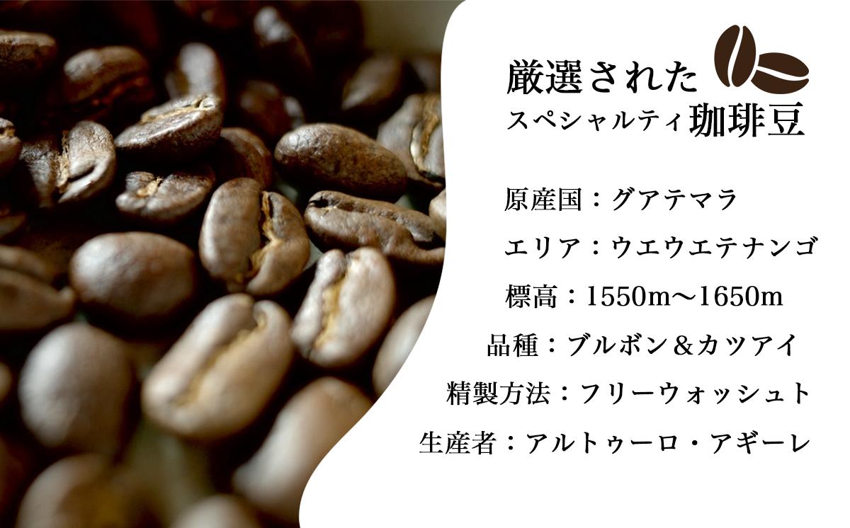 スペシャルティ珈琲豆のグアテマラ／トラディショナル 各100g飲み比べセット（計200g）【 コーヒー 珈琲 コーヒー豆 珈琲豆 自家焙煎 茨城県 つくば市 】